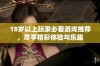18岁以上玩家必看游戏推荐，尽享精彩体验与乐趣