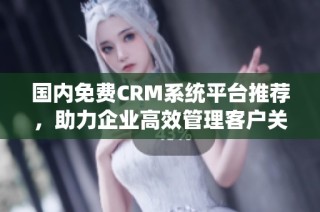 国内免费CRM系统平台推荐，助力企业高效管理客户关系