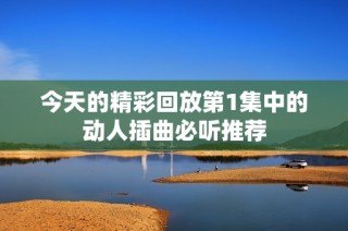 今天的精彩回放第1集中的动人插曲必听推荐