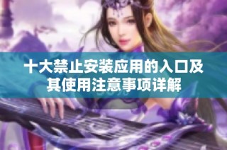 十大禁止安装应用的入口及其使用注意事项详解