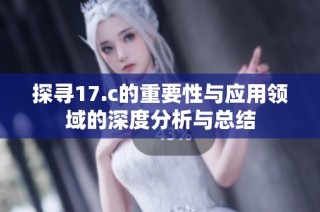 探寻17.c的重要性与应用领域的深度分析与总结