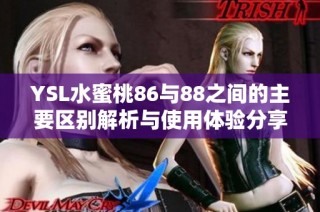 YSL水蜜桃86与88之间的主要区别解析与使用体验分享