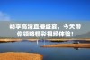 畅享高清直播盛宴，今天带你领略精彩视频体验！