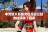 小芳续父开续女包是否已经出版揭晓了答案
