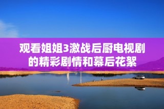 观看姐姐3激战后厨电视剧的精彩剧情和幕后花絮