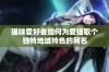 猫咪爱好者如何为爱猫取个独特地域特色的网名