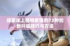 探索床上植物繁殖的72种创新扦插技巧与方法