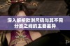 深入解析欧洲尺码与其不同分类之间的主要差异
