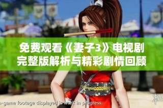 免费观看《妻子3》电视剧完整版解析与精彩剧情回顾