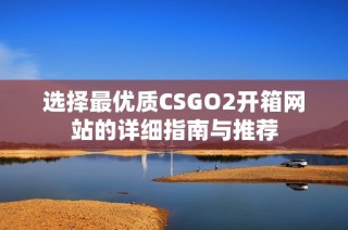 选择最优质CSGO2开箱网站的详细指南与推荐