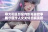 意大利医务室内部隐秘故事揭示医疗人文关怀的真实面貌