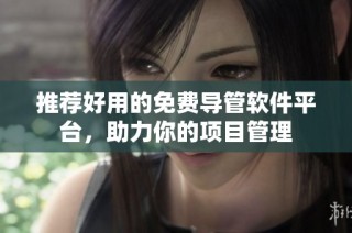 推荐好用的免费导管软件平台，助力你的项目管理