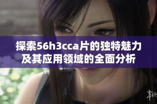 探索56h3cca片的独特魅力及其应用领域的全面分析