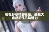 观看野草精彩视频，感受大自然的生机与魅力