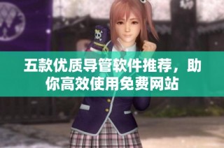 五款优质导管软件推荐，助你高效使用免费网站