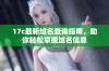 17c最新域名查询指南，助你轻松掌握域名信息