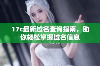 17c最新域名查询指南，助你轻松掌握域名信息