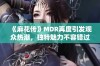 《麻花传》MDR再度引发观众热潮，独特魅力不容错过
