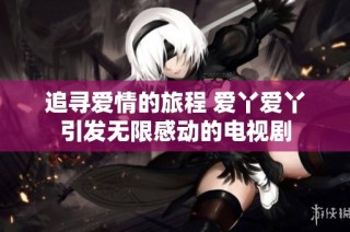 追寻爱情的旅程 爱丫爱丫引发无限感动的电视剧