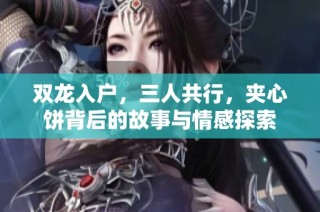 双龙入户，三人共行，夹心饼背后的故事与情感探索