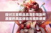 探讨三亚精品高清影院影片质量的真实体验与观影感受分享