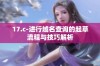 17.c-进行域名查询的起草流程与技巧解析