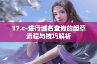 17.c-进行域名查询的起草流程与技巧解析