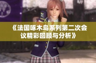 《法国啄木鸟系列第二次会议精彩回顾与分析》