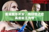 重返繁华长安，携倾世之恋再度称王为爷