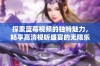 探索蓝莓视频的独特魅力，畅享高清视听盛宴的无限乐趣