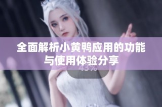 全面解析小黄鸭应用的功能与使用体验分享