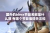 国外的bbox节目名称是什么呢 有哪个节目值得关注和推荐呢