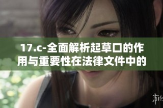 17.c-全面解析起草口的作用与重要性在法律文件中的应用