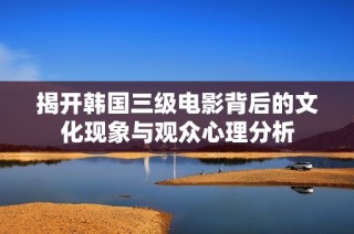 揭开韩国三级电影背后的文化现象与观众心理分析