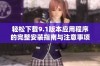 轻松下载9.1版本应用程序的完整安装指南与注意事项
