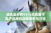 成色良好的Y31s究竟属于国产品牌吗深度解析与讨论