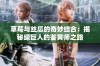 草莓与丝瓜的奇妙结合：揭秘绿巨人的鉴黄师之路