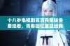 十八岁电视剧高清完整版免费观看，青春回忆重温经典之作
