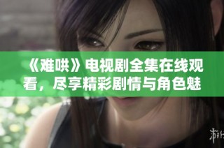 《难哄》电视剧全集在线观看，尽享精彩剧情与角色魅力体验