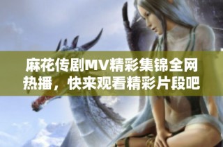 麻花传剧MV精彩集锦全网热播，快来观看精彩片段吧