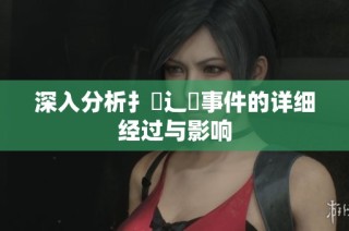 深入分析扌喿辶畐事件的详细经过与影响