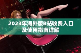 2023年海外版B站收费入口及使用指南详解