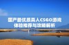 国产最优质真人CSGO游戏体验推荐与攻略解析
