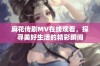 麻花传剧MV在线观看，探寻美好生活的精彩瞬间