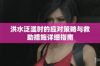 洪水泛滥时的应对策略与救助措施详细指南