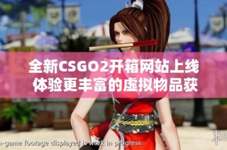 全新CSGO2开箱网站上线 体验更丰富的虚拟物品获取方式