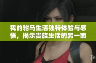 我的驸马生活独特体验与感悟，揭示贵族生活的另一面
