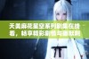 天美麻花星空系列剧集在线看，畅享精彩剧情与幽默荆棘