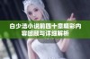 白少洁小说前四十章精彩内容回顾与详细解析