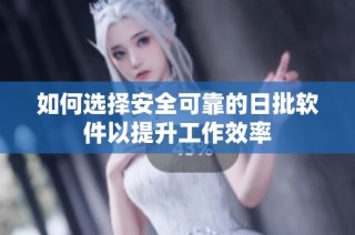 如何选择安全可靠的日批软件以提升工作效率